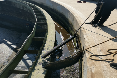 467圖片2.png 467圖片2.png